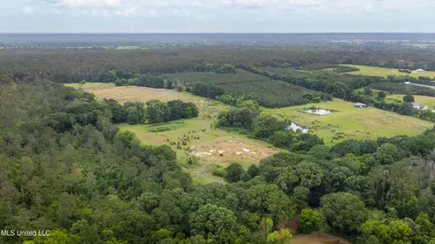 Horseshoe Lane, Flora, MS 39071 photo 4