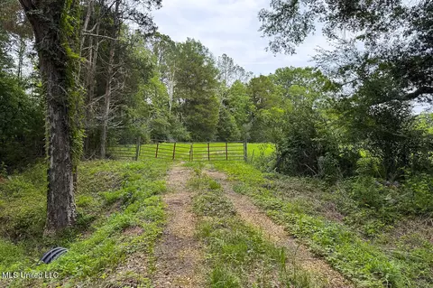 Horseshoe Lane, Flora, MS 39071 photo 17