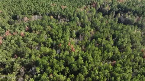 0002 Trickhambridge Rd, Brandon, MS 39042 photo 6