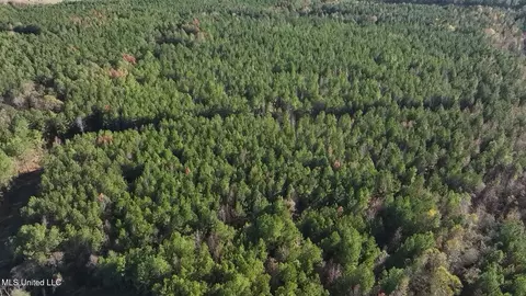 0002 Trickhambridge Rd, Brandon, MS 39042 photo 2