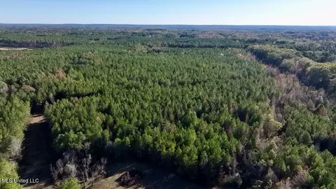 0002 Trickhambridge Rd, Brandon, MS 39042 photo 9