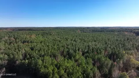 0002 Trickhambridge Rd, Brandon, MS 39042 photo 7