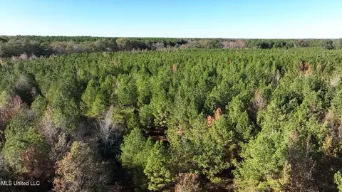 0002 Trickhambridge Rd, Brandon, MS 39042 photo 5