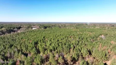 0002 Trickhambridge Rd, Brandon, MS 39042 photo 11