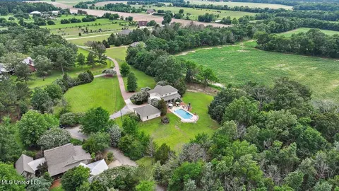 View/Area - 210 Planters Grv, Brandon, MS 39047 photo 9 of 9