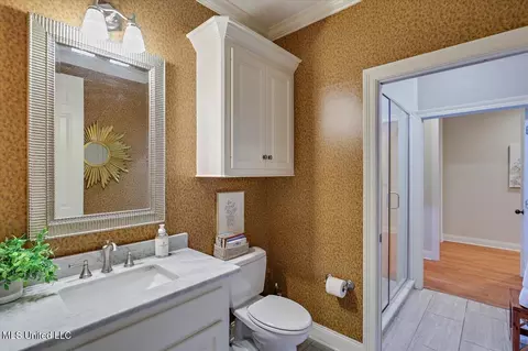 Bath - 210 Planters Grv, Brandon, MS 39047 photo 1 of 6