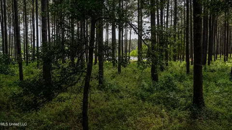 0000 Pleasant Ridge Rd, Hickory, MS 39332