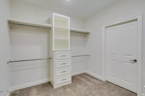100 Hampton Trl, Madison, MS 39110 photo 19