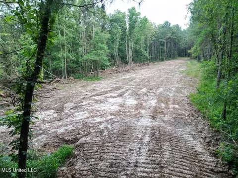 2 Old Hamburg Rd, Roxie, MS 39661 photo 4