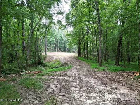 2 Old Hamburg Rd, Roxie, MS 39661 photo 3