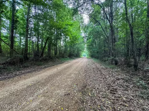 2 Old Hamburg Rd, Roxie, MS 39661 photo 9
