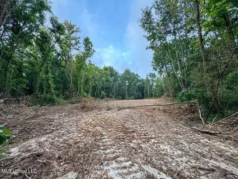 2 Old Hamburg Rd, Roxie, MS 39661 photo 7