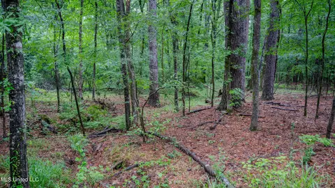0000 Henderson Rd, Jackson, MS 39272 photo 6