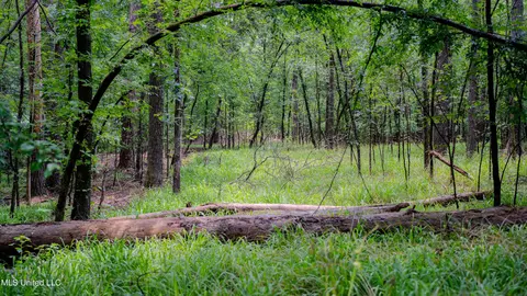 0000 Henderson Rd, Jackson, MS 39272 photo 23