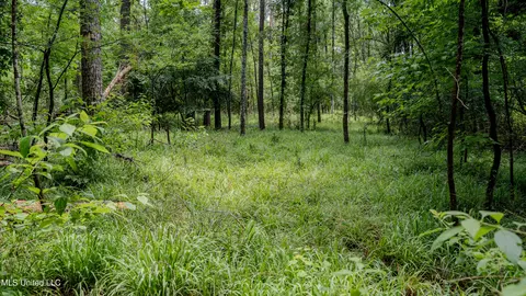 0000 Henderson Rd, Jackson, MS 39272 photo 27