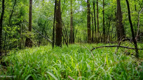 0000 Henderson Rd, Jackson, MS 39272 photo 15
