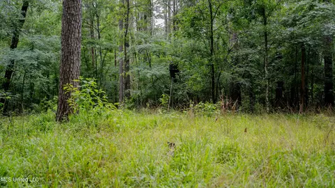 0000 Henderson Rd, Jackson, MS 39272 photo 21