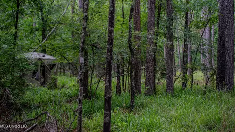 0000 Henderson Rd, Jackson, MS 39272 photo 35
