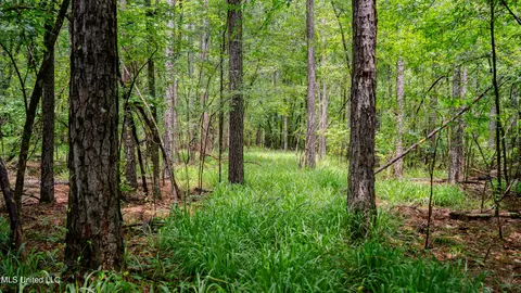 0000 Henderson Rd, Jackson, MS 39272 photo 16