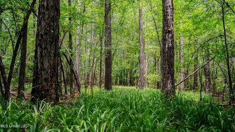 0000 Henderson Rd, Jackson, MS 39272 photo 17