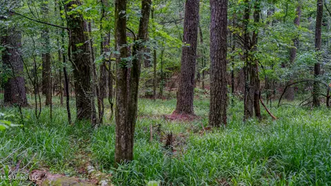 0000 Henderson Rd, Jackson, MS 39272 photo 26