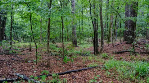 0000 Henderson Rd, Jackson, MS 39272 photo 7