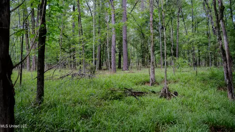 0000 Henderson Rd, Jackson, MS 39272 photo 28