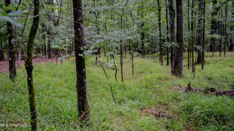 0000 Henderson Rd, Jackson, MS 39272 photo 31