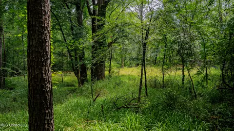 0000 Henderson Rd, Jackson, MS 39272 photo 20