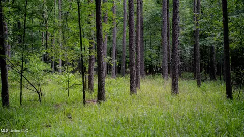 0000 Henderson Rd, Jackson, MS 39272 photo 34
