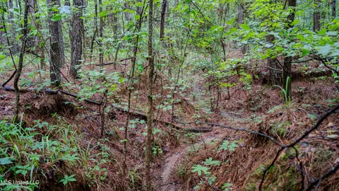 0000 Henderson Rd, Jackson, MS 39272 photo 13