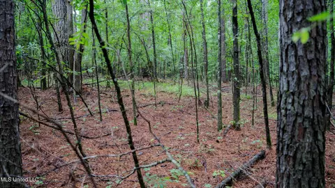 0000 Henderson Rd, Jackson, MS 39272 photo 12