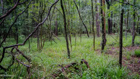 0000 Henderson Rd, Jackson, MS 39272 photo 25