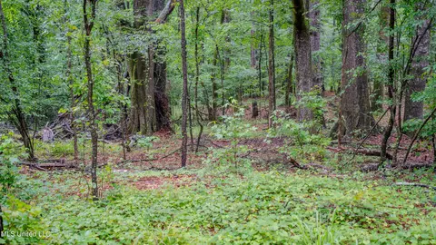 0000 Henderson Rd, Jackson, MS 39272 photo 4