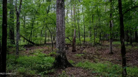0000 Henderson Rd, Jackson, MS 39272 photo 39