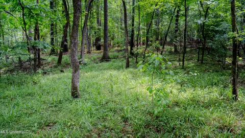 0000 Henderson Rd, Jackson, MS 39272 photo 11