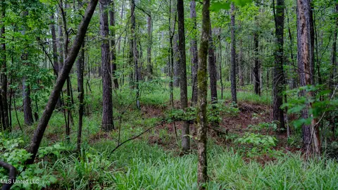 0000 Henderson Rd, Jackson, MS 39272 photo 37