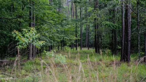 0000 Henderson Rd, Jackson, MS 39272 photo 33
