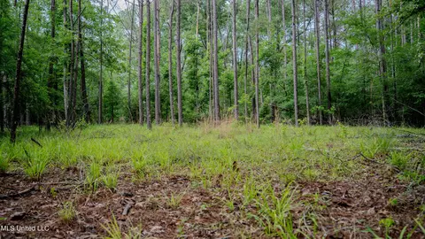 0000 Henderson Rd, Jackson, MS 39272 photo 32