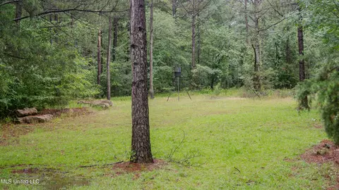 0000 Henderson Rd, Jackson, MS 39272 photo 3