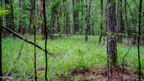0000 Henderson Rd, Jackson, MS 39272 photo 14