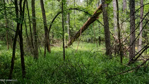 0000 Henderson Rd, Jackson, MS 39272 photo 19