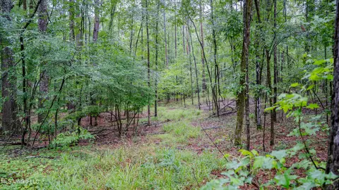 0000 Henderson Rd, Jackson, MS 39272 photo 5