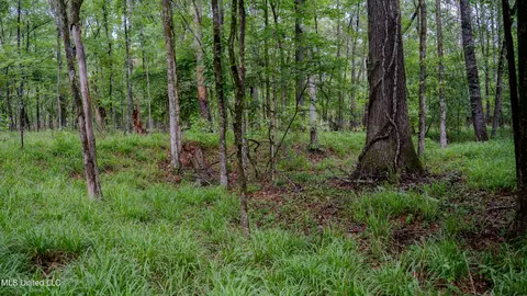 0000 Henderson Rd, Jackson, MS 39272 photo 29