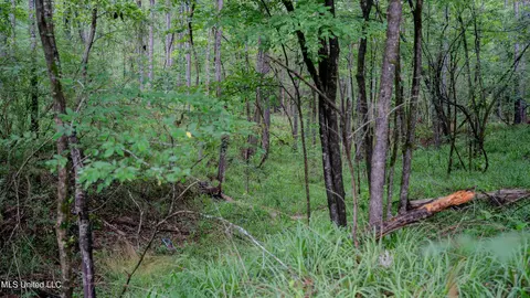 0000 Henderson Rd, Jackson, MS 39272 photo 36