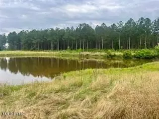 2423 SE Union Rd, Brookhaven, MS 39601 photo 8