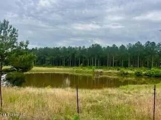 2423 SE Union Rd, Brookhaven, MS 39601 photo 9