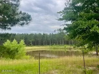 2423 SE Union Rd, Brookhaven, MS 39601 photo 10