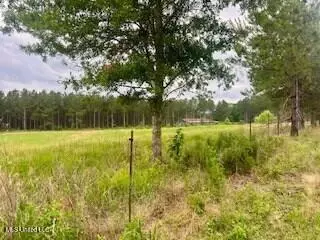 2423 SE Union Rd, Brookhaven, MS 39601 photo 3