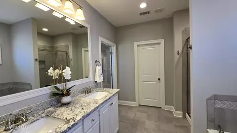 Bath - 331 Emerald Way, Brandon, MS 39047 photo 3 of 6